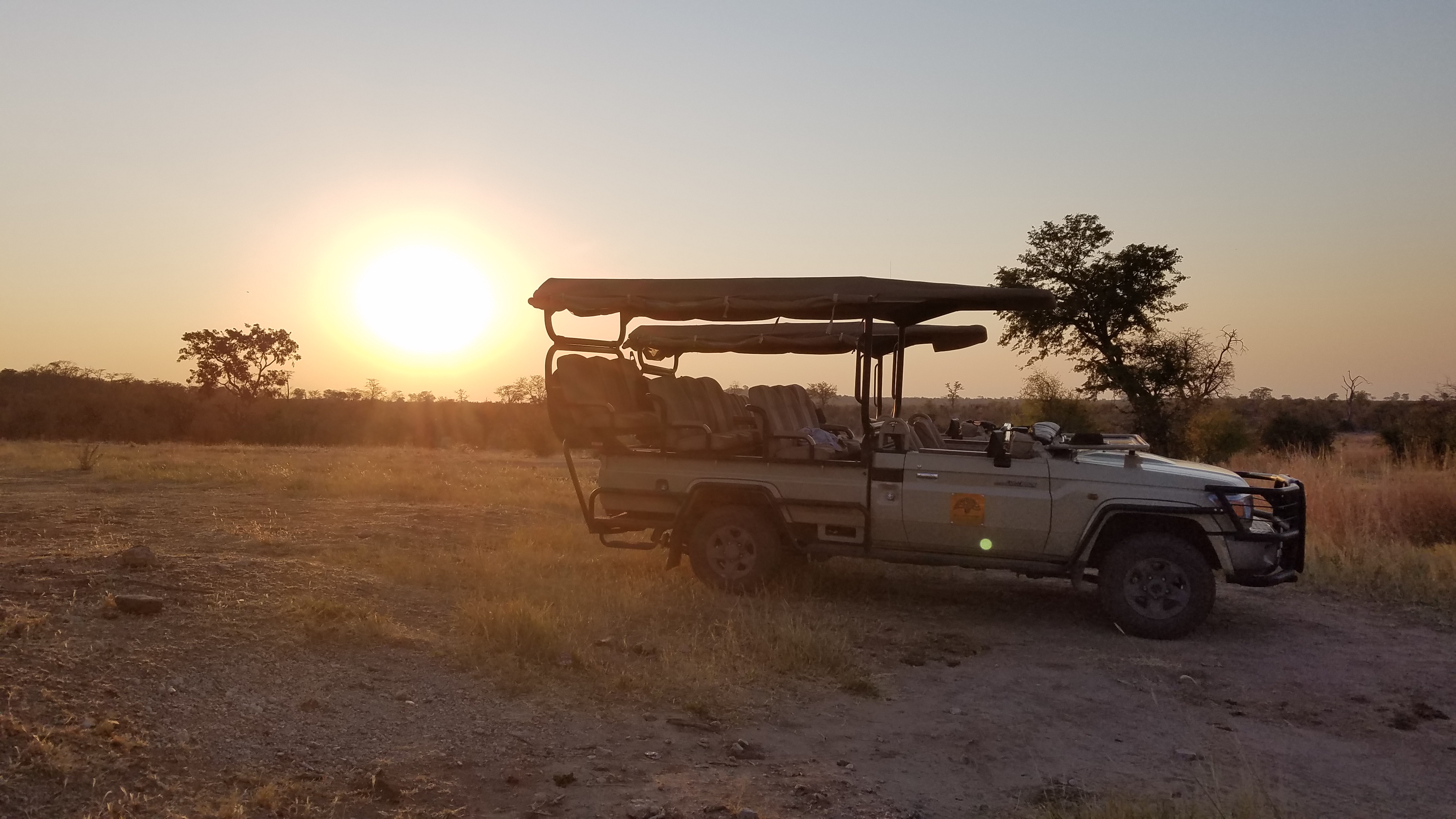 8 days African Safari!